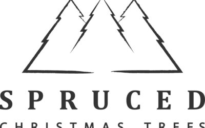 Spruced – A New Look Christmas